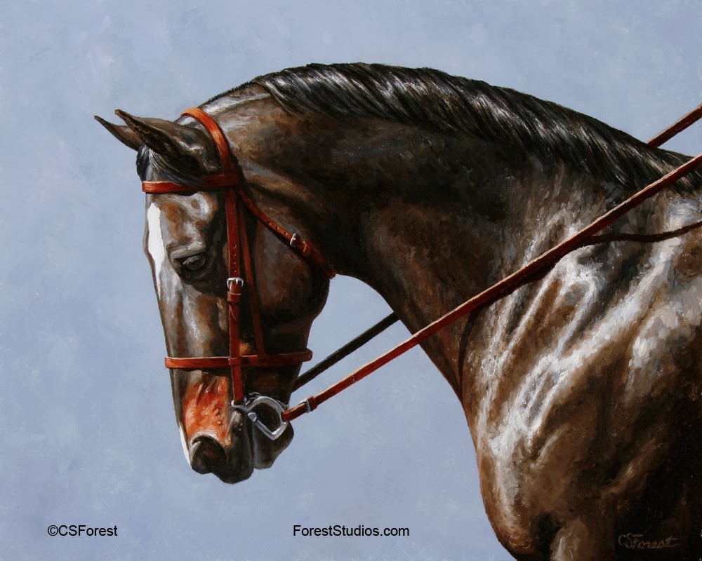 Crista Forest's Animals & Art: Bay Dressage Horse Painting