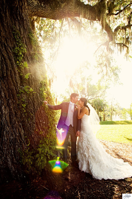 Wedding photography at Leu Gardens-Winter Park Farmers Market