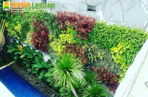 Jasa Pemasangan Taman Dinding Jakarta, Jasa Vertical Garden Jakarta