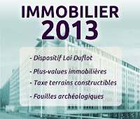 immobilier 2013