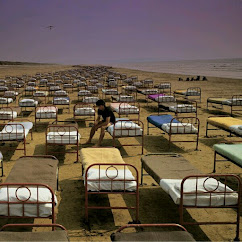 A Momentary Lapse Of Reason