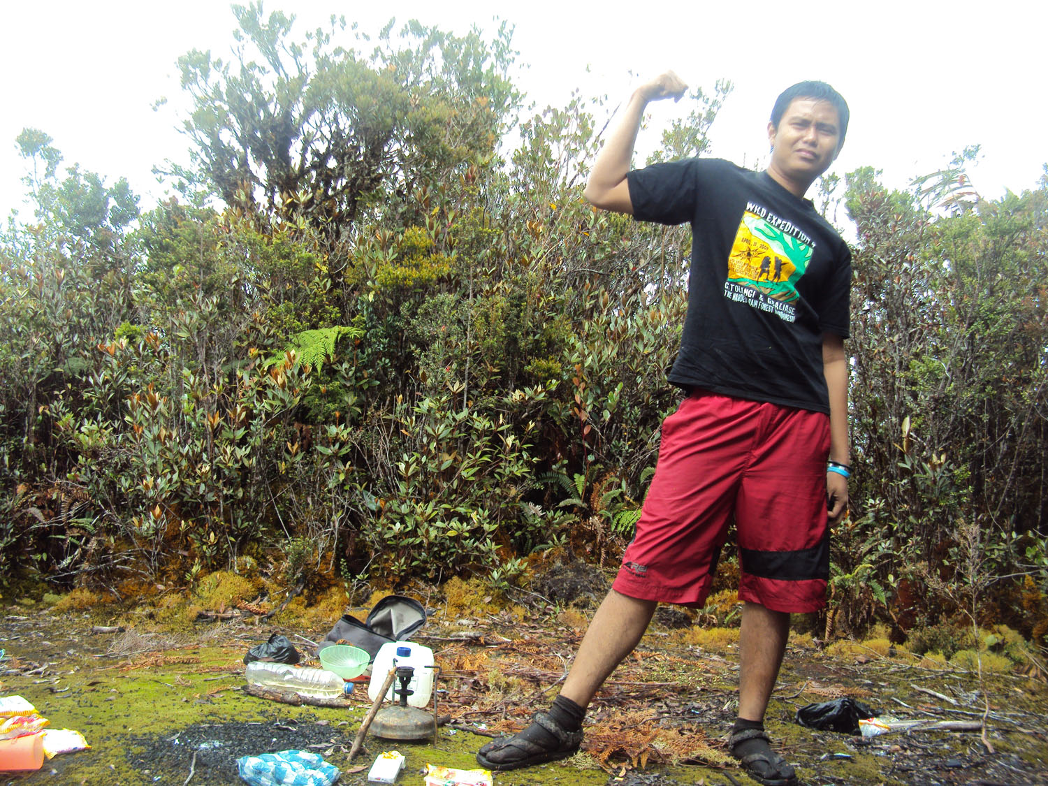 Gunung-gunung Sulawesi: G. Gandang Dewata 3037 mdpl