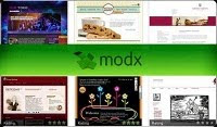 Tired of online failure? Modx Web Development can help you climb that Ladder of Success