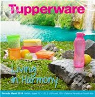 PROMO TUPPERWARE MARET 2014