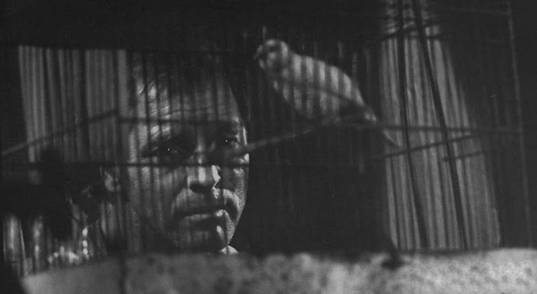 Le prisonnier d'Alcatraz 1962 streaming