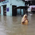 Al menos 18 muertos por fuertes lluvias