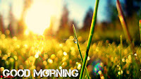 New Good Morning Whatsapp Messages Free 005.jpg