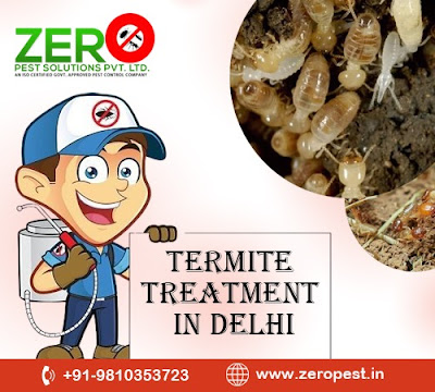 Termite Treatment in Delhi