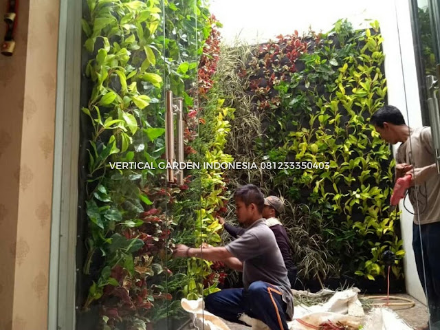 VERTICAL GARDEN INDONESIA SPESIALIS JASA PEMBUATAN VERTICAL GARDEN DI SERANG DAN DI SELURUH WILAYAH SERANG DENGAN TENAGA YANG PROFESIONAL DAN DAPAT DI PERCAYA YANG SELALU MENGUTAMAKAN SEBUAH MUTU DAN KUALITAS PEMASANGAN VERTICAL GARDEN/TAMAN DINDING, JASA TUKANG TAMAN VERTICAL SERANG, JASA VERTICAL GARDEN SERANG