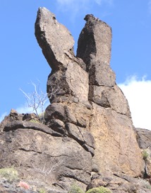 P1010786