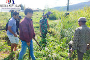 Sambut Hut RI Ke -77, Babinsa Gotong royong Bersama Masyarakat Desa Binaan