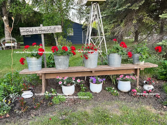 Photo of a garden planting diagram.