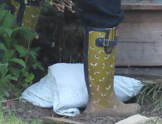 yellow welly printed with pictures of bees