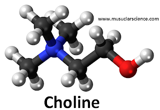 Choline - chemical formula