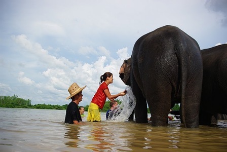 Surin---20-26th-Sep-2010-16_thumb