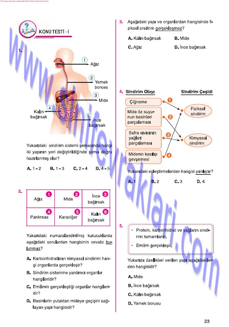 7. Sınıf Fen Bilimleri Mevsim Yayınları Ders Kitabı Cevapları Sayfa 23