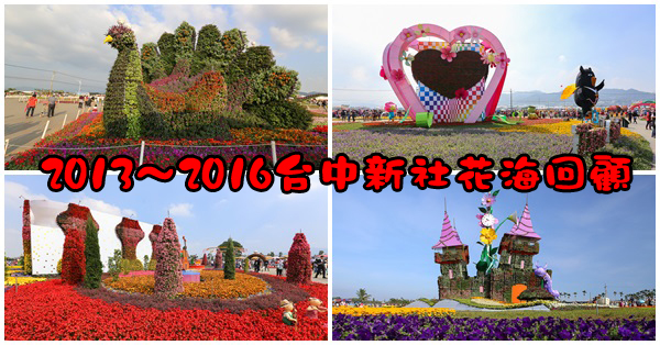 台中新社|2013～2016新社花海節、台中國際花毯節回顧