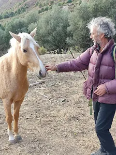 Pablo touches a horse