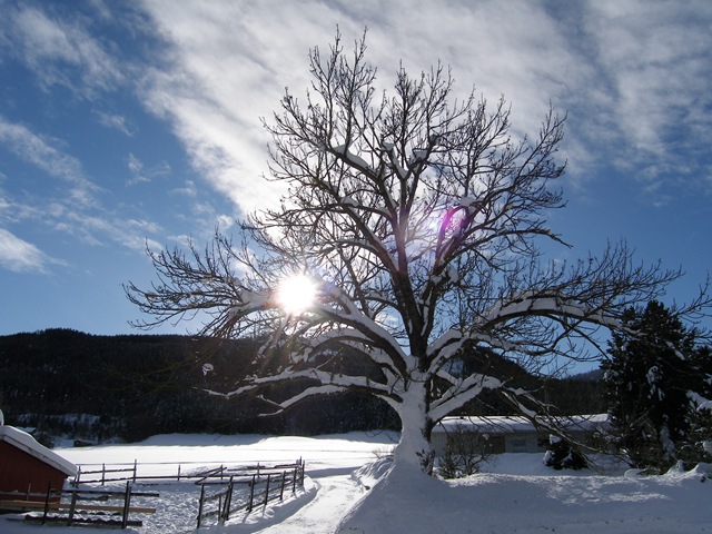 Febr2009 243