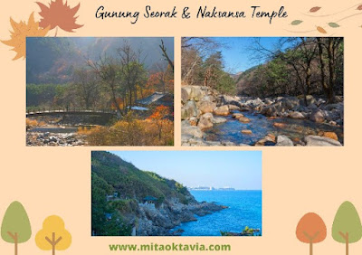 Perpaduan pemandangan alam gunung seorak di musim gugur dan pemandangan laut yang cantik dari naksansa temple