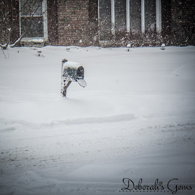 Winter 3 - photo by Deborah Frings - Deborah's Gems