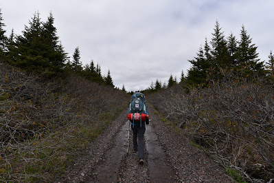 Hiking Great Trail path Newfoundland.