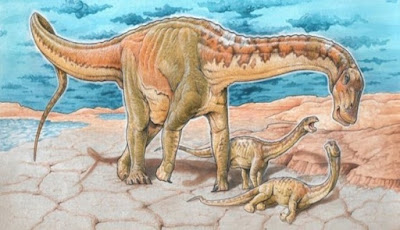 Fosil Spesies Baru Dinosaurus Ditemukan Di Argentina Fosil Spesies Baru Dinosaurus Ditemukan Di Argentina