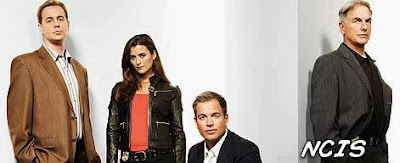 Descargar NCIS S08E04 8x04 804