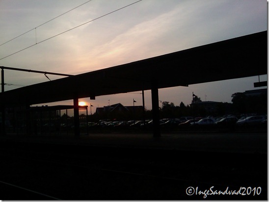 IMAG0365