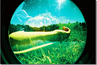 Ripcurl Lomo Fisheye No 2 Image 08