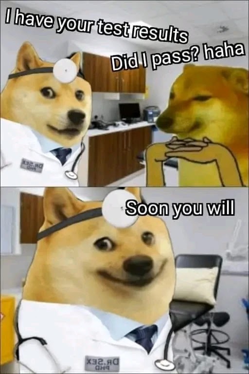 Doge memes in english