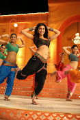 Shruti Hassan Hot photos-thumbnail-51