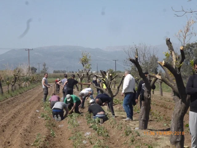 ΚΕΘΕΑ ΚΥΤΤΑΡΟ: Καλλιεργώντας την ελπίδα στις φυλακές της Τύρινθας