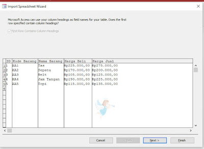 Database Excel X Access