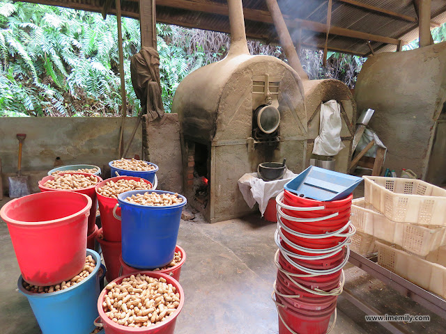 Sinn Loong peanut processing