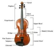 A violin typically consists of a spruce top (the soundboard, also known as .