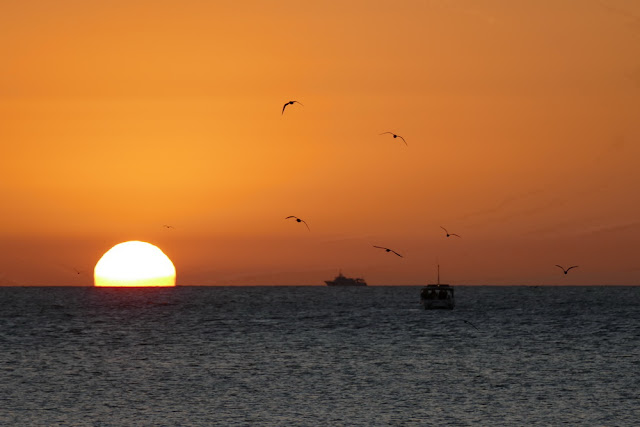 romantisch Sonnenuntergang Heron Island Insel Meer Sonne Vögel Schiff