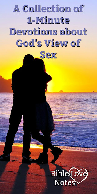 This is a Collection of 1-Minute Devotions about God's View of Sex. Concise, Scriptural, Helpful.