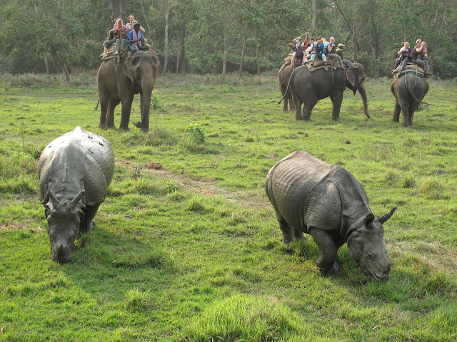 Kathmandu Nagarkot Chitwan Holiday Package Tour