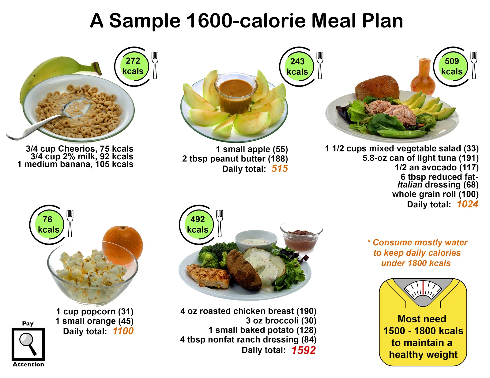 8 Habits to Health: Sample 1600-kcal Meal Plan (Habit 
