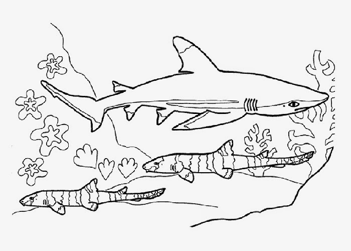 hungry shark evolution coloring pages to print