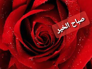 صور صباح الخير,صور عن الصباح,