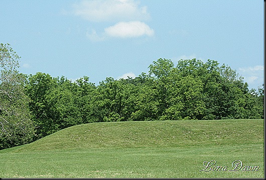 Moundcity_LongMound
