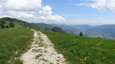 Aussichtsreicher Weg über die Tannmatt