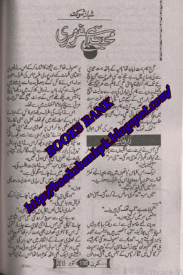 Mohabbat humsafar meri novel by Shabana Shokat.