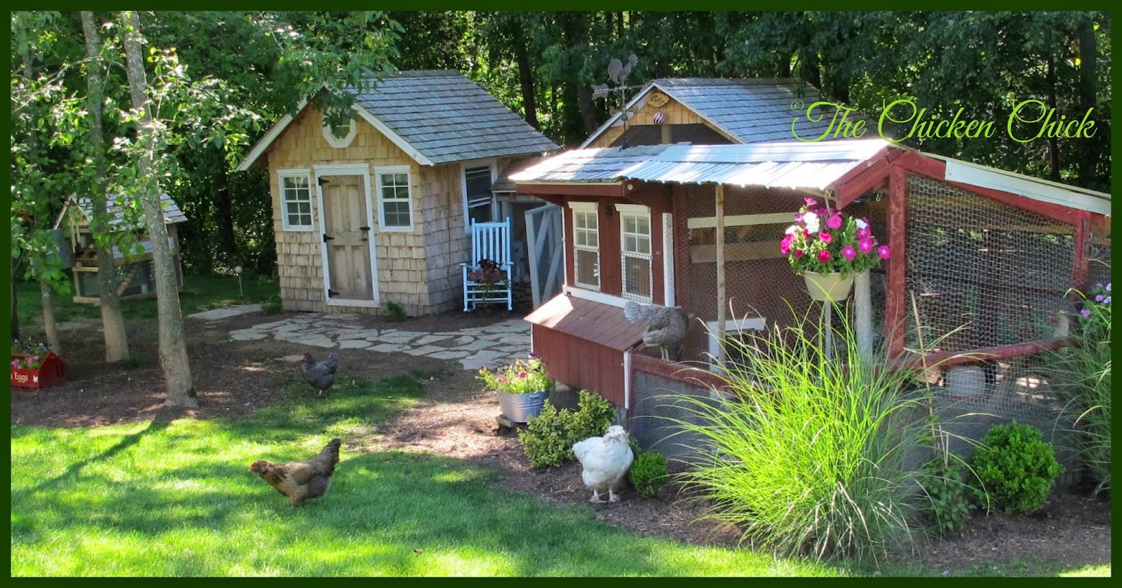 Chicken Coop Bedding: Sand, the Litter Superstar