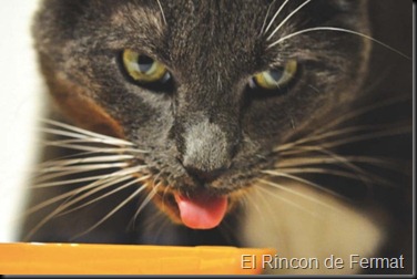 fermat