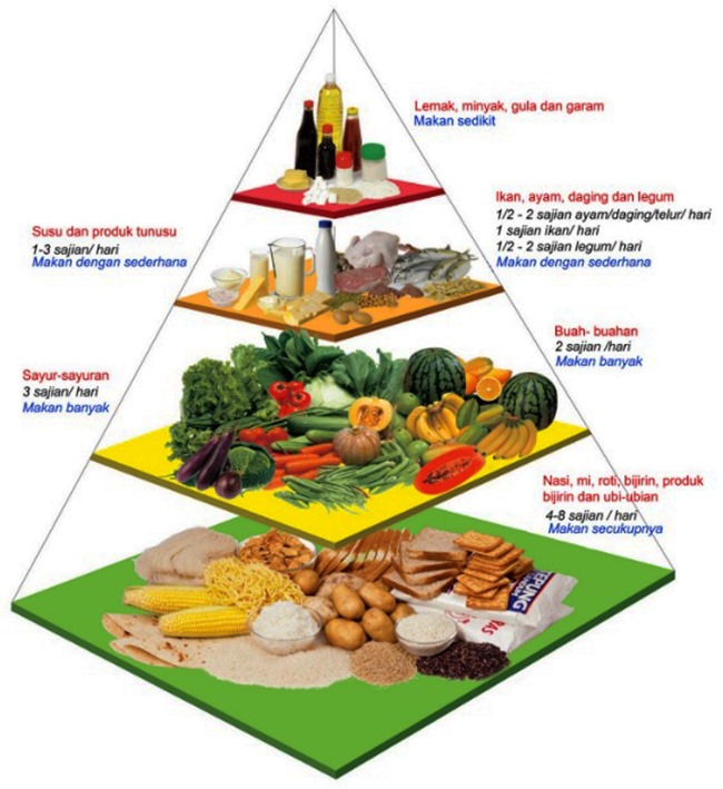gambar piramid makanan