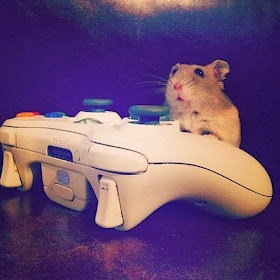 Funny animals of the week - 31 January 2014 (40 pics), mouse plays xbox