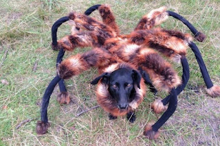 disfraz perro araña